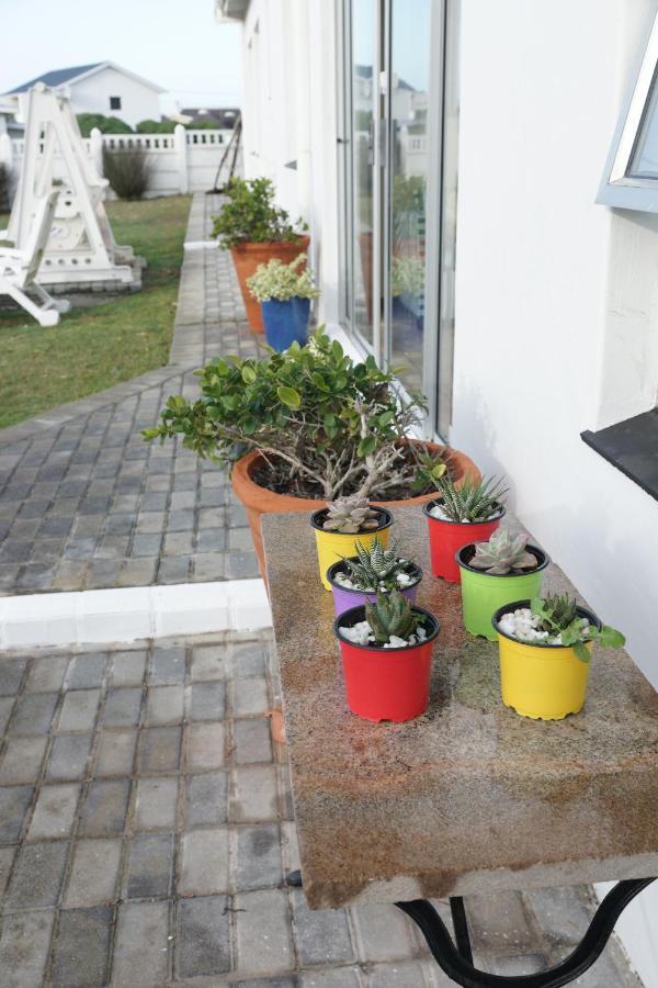 Summer Place B&B Agulhas Exteriér fotografie